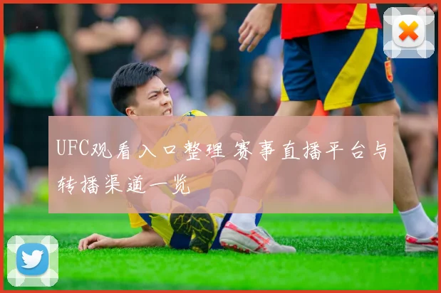 UFC观看入口整理 赛事直播平台与转播渠道一览