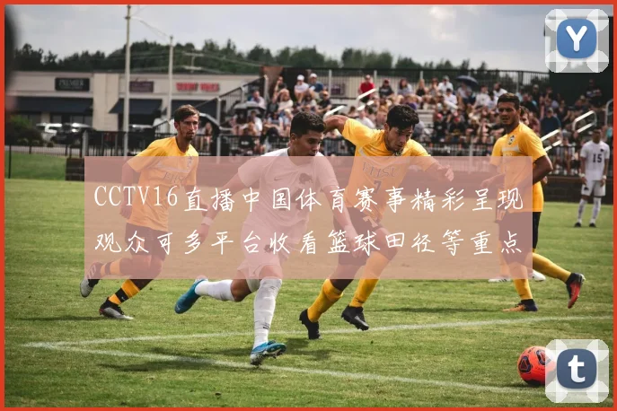 CCTV16直播中国体育赛事精彩呈现观众可多平台收看篮球田径等重点比赛