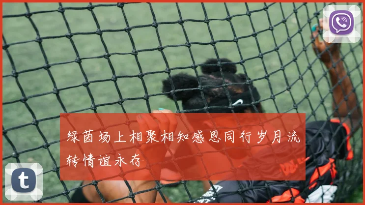 绿茵场上相聚相知感恩同行岁月流转情谊永存